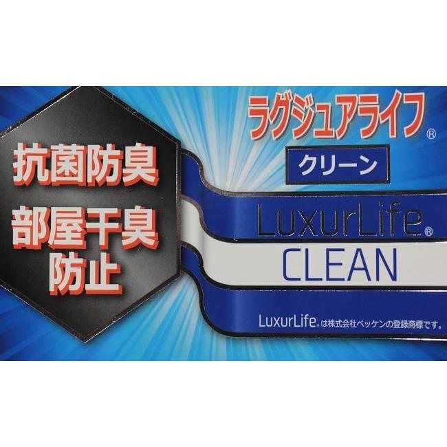 氷結 ドライスペシャル ひんやり もっちり 冷感 肌ふとん シングル