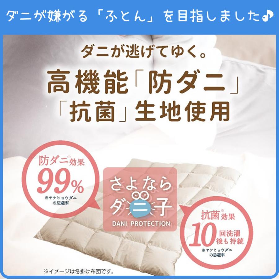 ダニが逃げてゆく／日本製 洗える ダウンケット 羽毛85% 0.3kg