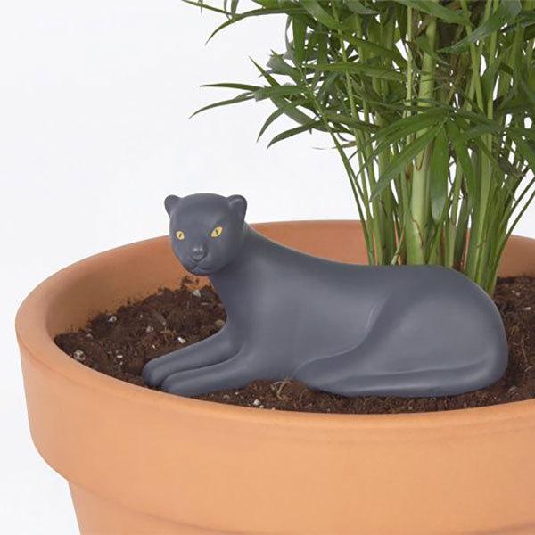 Jangal Panther ジャンガル パンサー セラミック 植物の水やり 観葉植物 ガーデニング Doiy SPAIN スペイン DETAIL HERE |  | 06