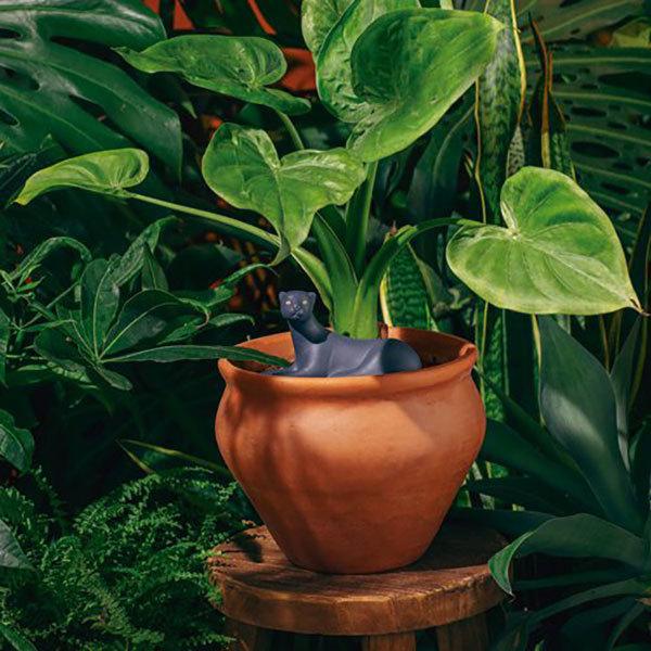 Jangal Panther ジャンガル パンサー セラミック 植物の水やり 観葉植物 ガーデニング Doiy SPAIN スペイン DETAIL HERE |  | 07