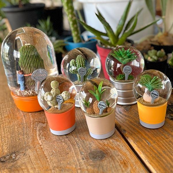DULTON（ダルトン） PLANTS WATER GLOBE Mサイズ 2種類 プランツ
