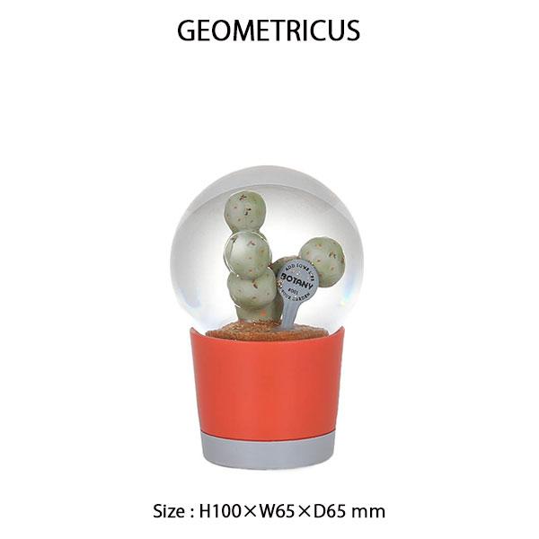DULTON（ダルトン） PLANTS WATER GLOBE Sサイズ 3種類 プランツ