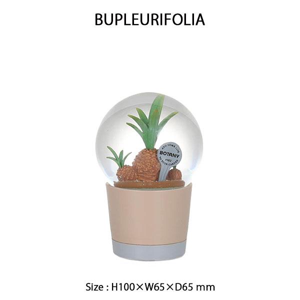 DULTON（ダルトン） PLANTS WATER GLOBE Sサイズ 3種類 プランツ