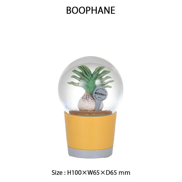 DULTON（ダルトン） PLANTS WATER GLOBE Sサイズ 3種類 プランツ