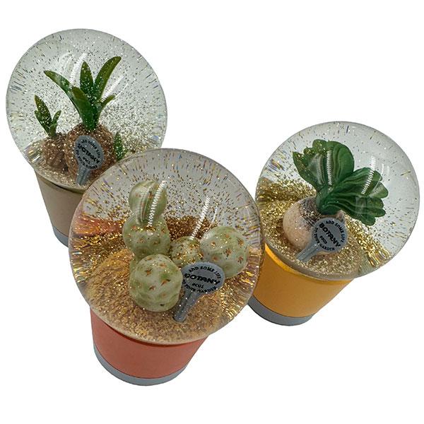 スノードーム　サボテン DULTON（ダルトン） PLANTS WATER GLOBE Sサイズ 3種類 プランツ