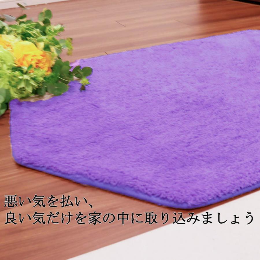 風水 玄関マットの色 開運 天然素材 洗える ラベンダー おしゃれ 室内