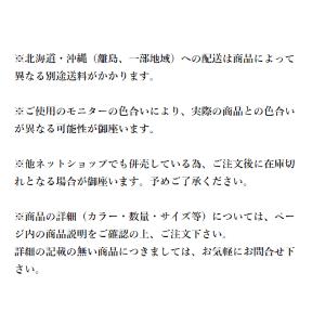 モトレックス カーボンペースト 5g(小袋)｜hy-box｜03