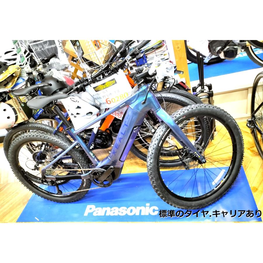 Panasonic（パナソニック） 店頭販売限定(発送不可) XEALT S5