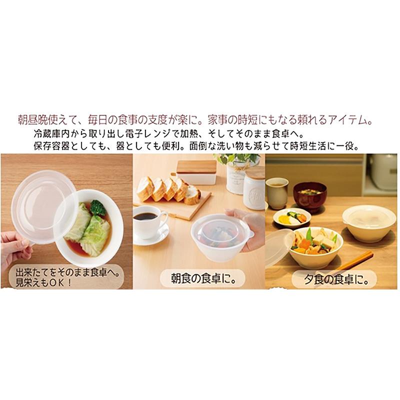 イノマタ化学 そのまま食卓に出せる保存容器L : ひゃくえもんplus