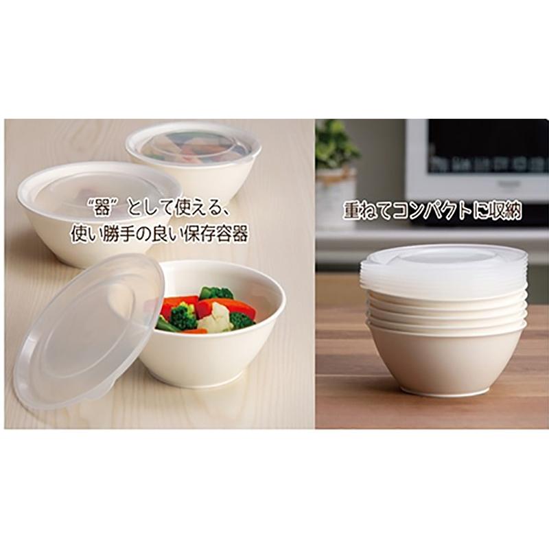 イノマタ化学 そのまま食卓に出せる保存容器L : ひゃくえもんplus