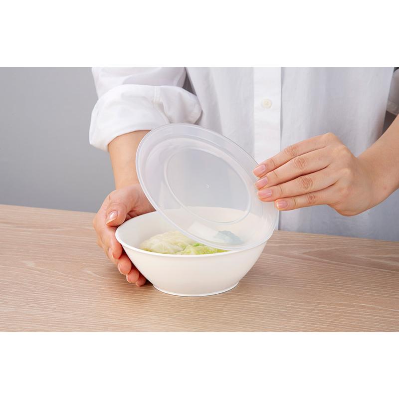 イノマタ化学 そのまま食卓に出せる保存容器L : ひゃくえもんplus