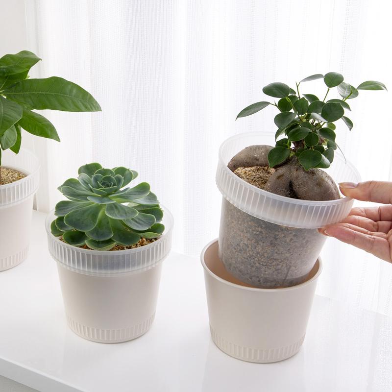 イノマタ化学 観察できる植木鉢 : ひゃくえもんplus - 通販 - Yahoo