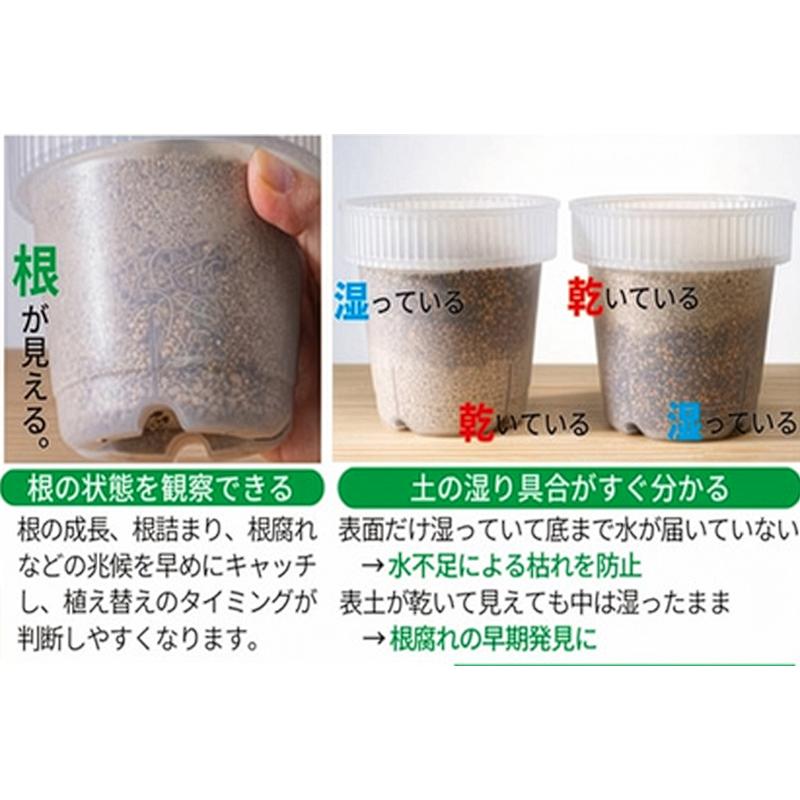 イノマタ化学 観察できる植木鉢 : ひゃくえもんplus - 通販 - Yahoo