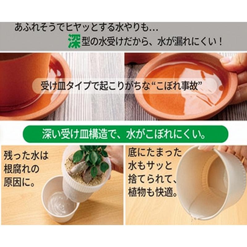 イノマタ化学 観察できる植木鉢 : ひゃくえもんplus - 通販 - Yahoo