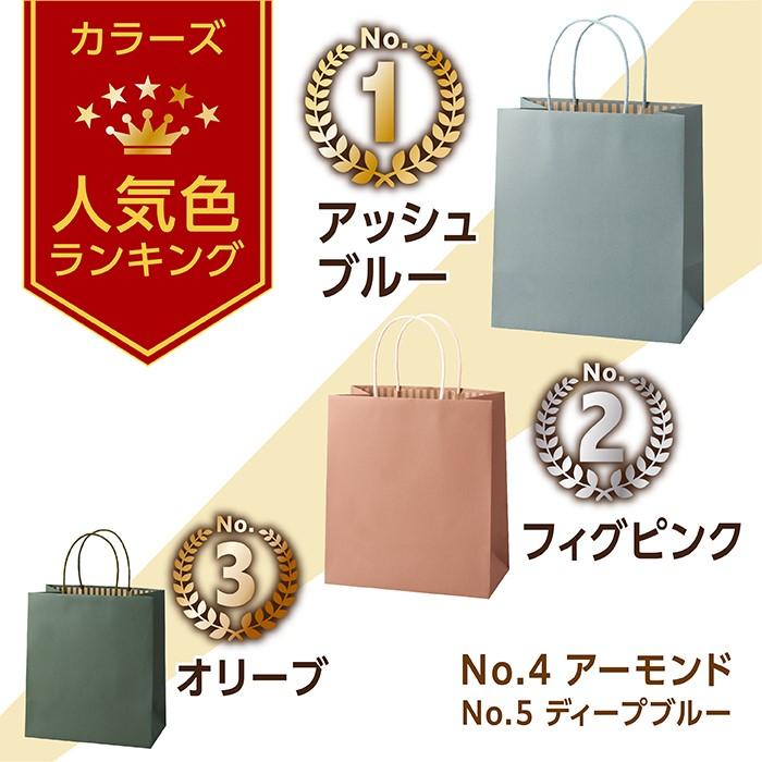 パックタケヤマ ポイント5倍とクーポン 紙袋 カラーズ 10枚 10色