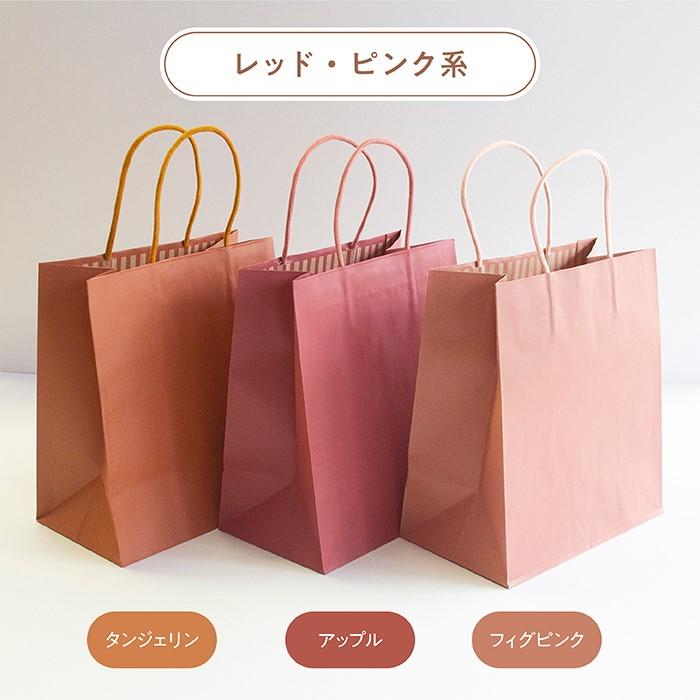紙袋 カラーズ 10枚 10色 手提げ 引き出物 結婚式 おしゃれ 無地