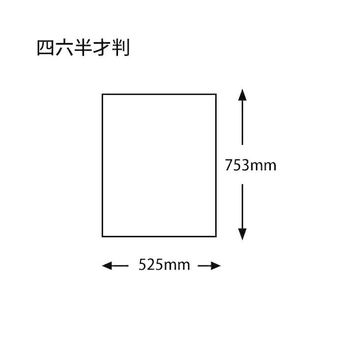 包装紙 家紋シルバー No.826 四六半才 100枚 おしゃれ 安い ラッピング かわいい 無地 大判 仏事 慶事 弔事 和柄｜hyasan｜03