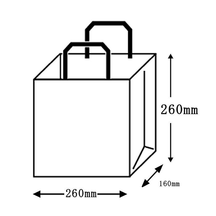 700円引きとポイント5倍 平紐手提袋 H平26 クリスタル ブルー 200枚日本製 高品質 紙袋  ギフト プレゼント イベント アレンジ シンプル_2