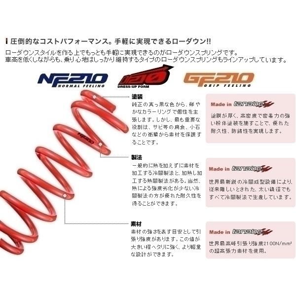 タナベ tanabe ダウンサス (NF210) (1台分set/前後) オデッセイ RB1 (S/M/L 前期) RB1NK 注意事項 ご購入前に必ずパソコン版にて商品説明をご確認ください