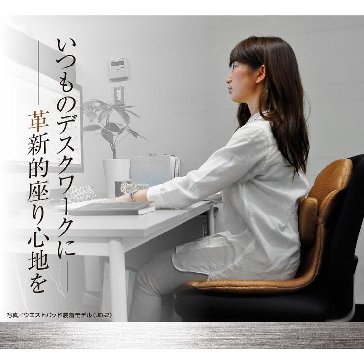 代引き不可】【ミッションプライズ】 【姿勢矯正クッション】 JIM