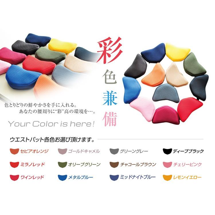 代引き不可】【ミッションプライズ】 【姿勢矯正クッション】 JIM
