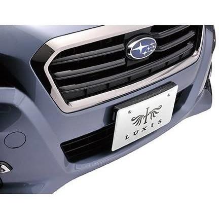 カーメイト 車用 ナンバーステー LUXIS フロント用 カーボンルック2 LS398|hydrangea-field|02