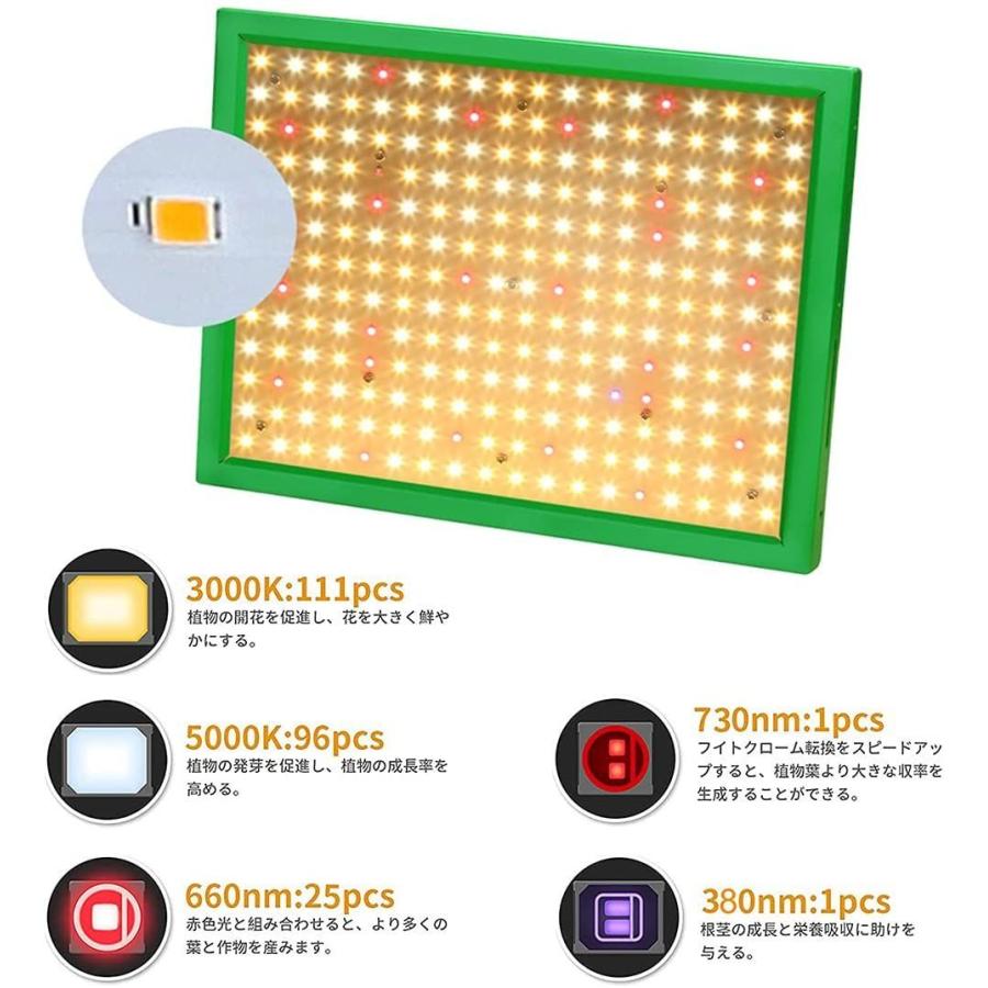 デイジーチェーン機能 Led光合成ライト 屋外照明 1000w Lm281b ライ 住宅設備 21最新版 Aokyoung Samsung Samsung Hydrangea Field 植物育成ライト