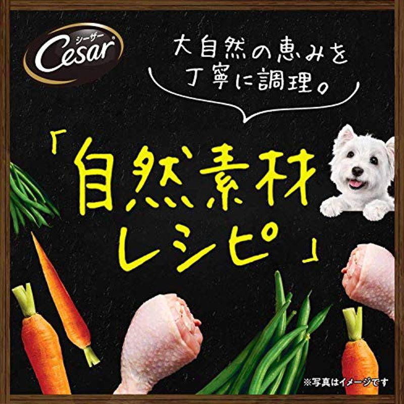 シーザー ドッグフード 自然素材レシピ 14歳からの 平飼いチキン&さつまいも・いんげん 85グラム (x 112) (ケース販売) ドッグフード 自然素材レシピ 14歳からの 平飼いチキン&さつまいも いんげん 85グラム ケース販売