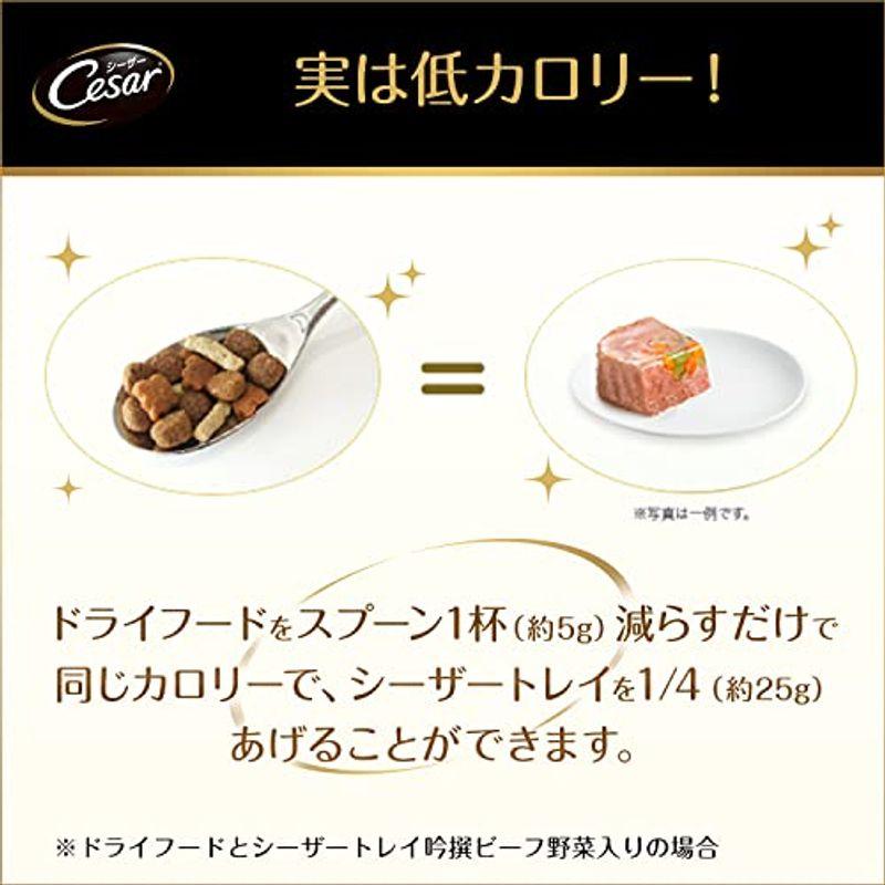 大人気 シーザー ドッグフード 11歳からの 吟選ビーフ シニア犬用 100g×96個 (ケース販売) 【2331460500】(11925円)