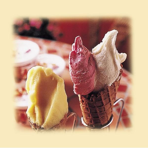 「あいす工房らいらっく」ジャージー牧場からの贈り物 ジェラート詰め合わせ16個セット（冷凍） |  | 01