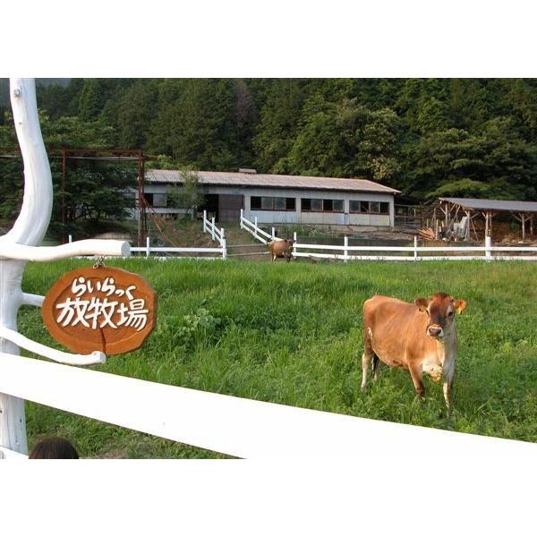 「あいす工房らいらっく」ジャージー牧場からの贈り物 ジェラート詰め合わせ16個セット（冷凍） |  | 03