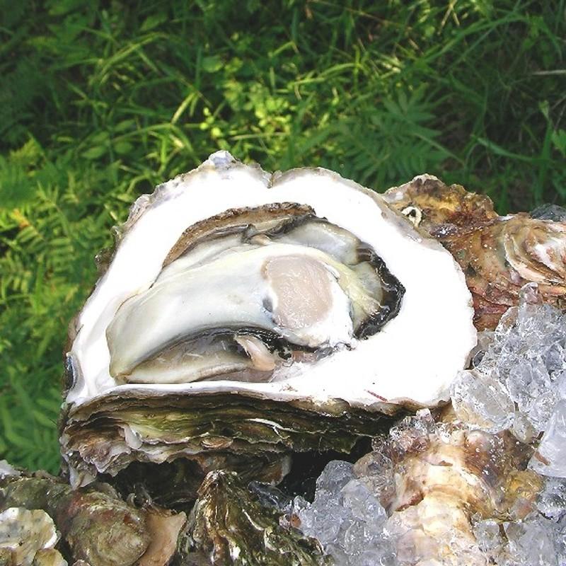 「かき庄」兵庫県産牡蠣 かき佃煮（5箱） |  | 04