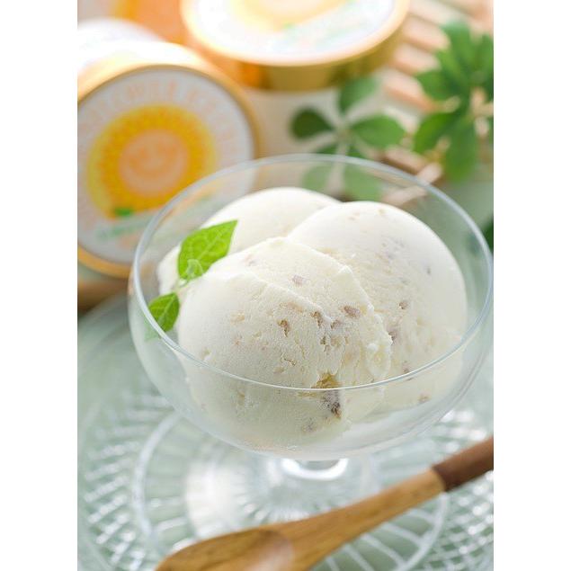 「元気工房さよう」ひまわりアイスクリーム 10個セット（冷凍） |  | 01