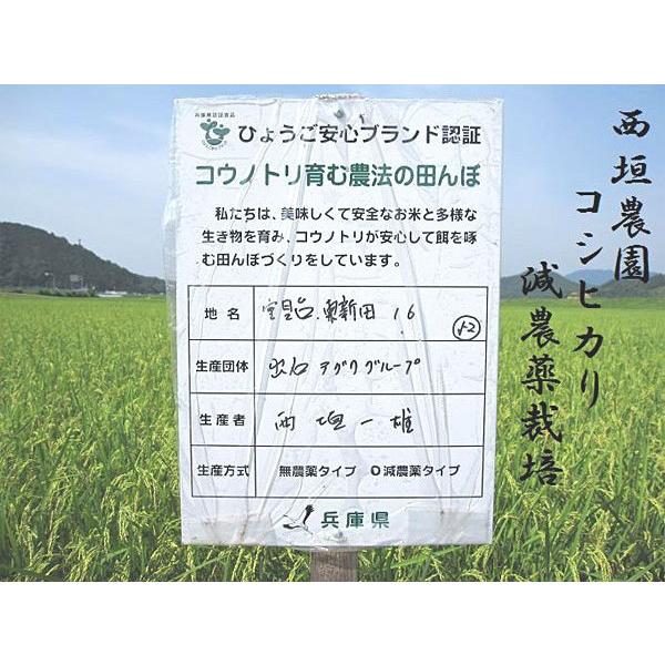 西垣農園」令和7年度産 いずしろまん コシヒカリ 白米5kg（減農薬栽培