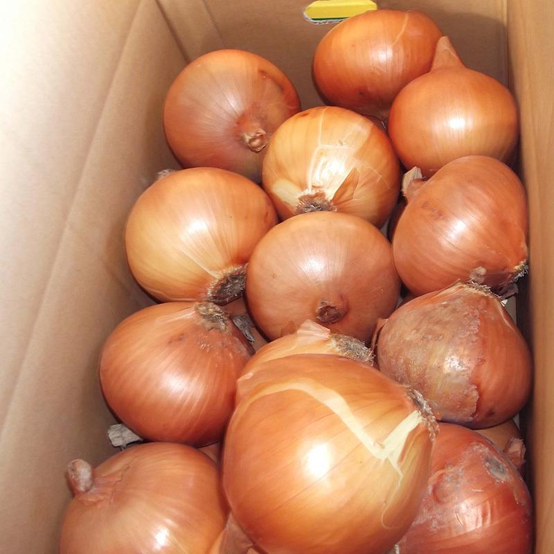 信州産　紅玉ねぎ　お箱込み１０キロ 信州産 紅玉ねぎ お箱込み10キロ 信州産 紅玉ねぎ お箱込み