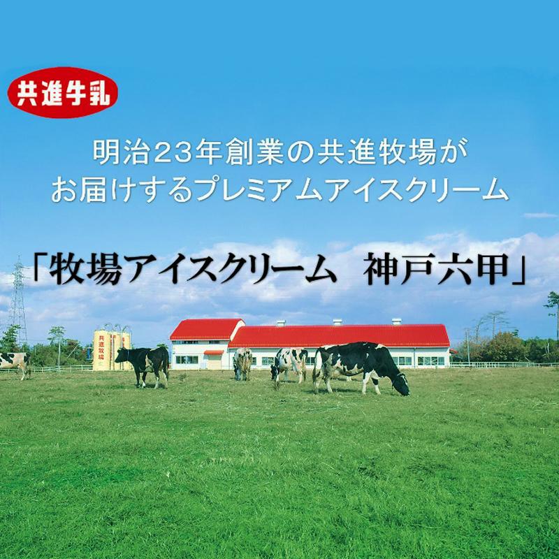共進牧場」牧場アイスクリーム神戸六甲ギフトセット（12個入 冷凍） :95-1:ひょうごの特産品 通販 