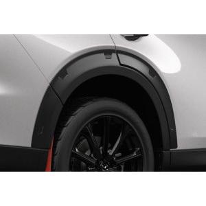 オートエクゼ オートエグゼ(AUTOEXE) オーバーフェンダーセット 1台分