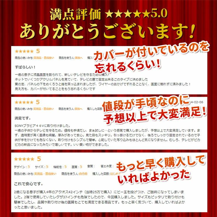 液晶テレビ保護パネル 24型 フラット式 【ブルーライトカット】※こちらの商品はテレビではございません