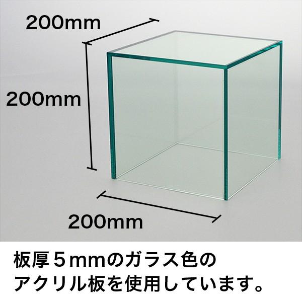 アクリル5面ボックス ガラス色 Mサイズ(W200×D200×H200)○（小物