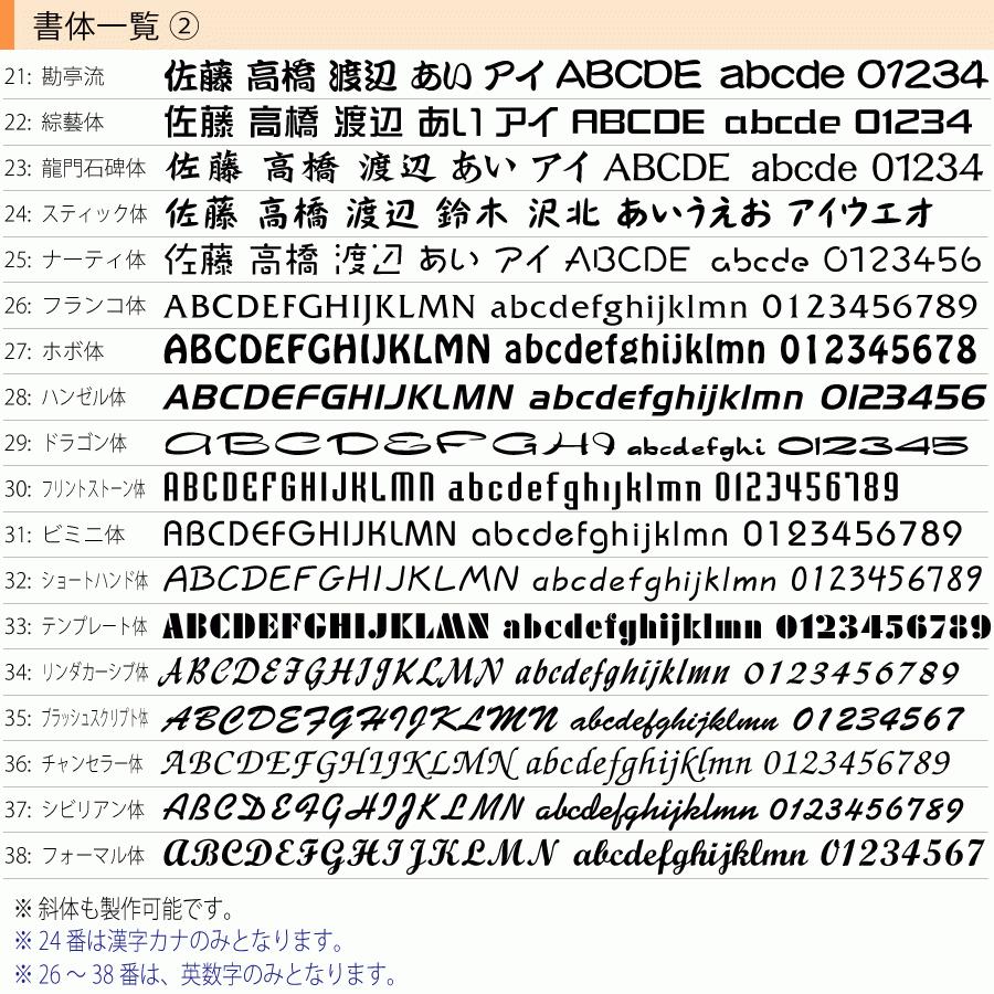 アルディ門柱 表札 ステンレス 200×100ミリ 耐久性の良いドライエッチング文字塗装 S02 |  | 03
