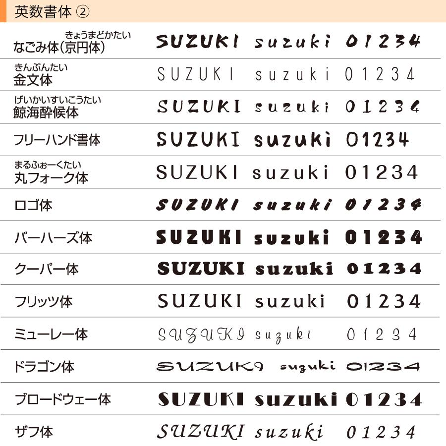 アルディ門柱 表札 品質の良い丸三タカギ製 ステンレス 200×100ミリ SIF-S-8 |  | 05