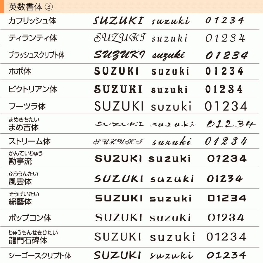 スヌーピー表札 アクリル 品質の良い丸三タカギ製 可愛い 145×58ミリ SPAWA-1｜hyousatsu-net｜06