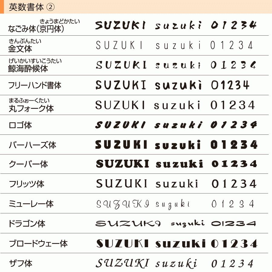 モダン 品質の良い丸三タカギの表札 ステンレス バイブレーション マンション 210×40ミリ アーバン UB-BV-787｜hyousatsu-net｜04