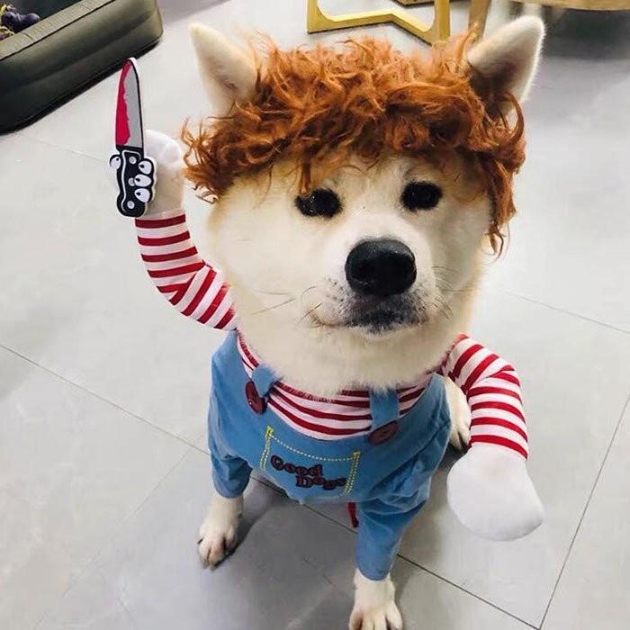 犬服 猫服 ハロウィン ドッグウェア サンタクロース 犬服 コスプレ 衣装 コスチューム ペットウェア 犬の服 ペット ペットグッズ 犬変身 ハロウィン チャッキー Cwyf Hyou Store 通販 Yahoo ショッピング