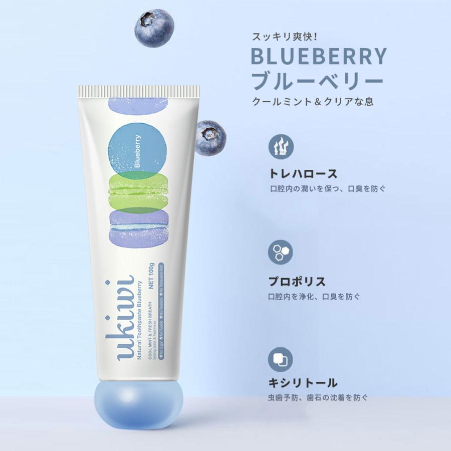 歯磨き粉 ホワイトニング Hyp Ukiwi マカロン ユーキウイ トゥースペースト 歯周病 予防 歯科 1本 100ｇ 美容ルーティン モーニング はみがきこ Hyp Ukiwi Tp Unihome 通販 Yahoo ショッピング