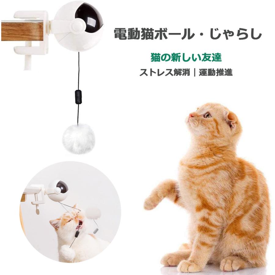 猫用おもちゃ 電動おもちゃ ギガランキングｊｐ