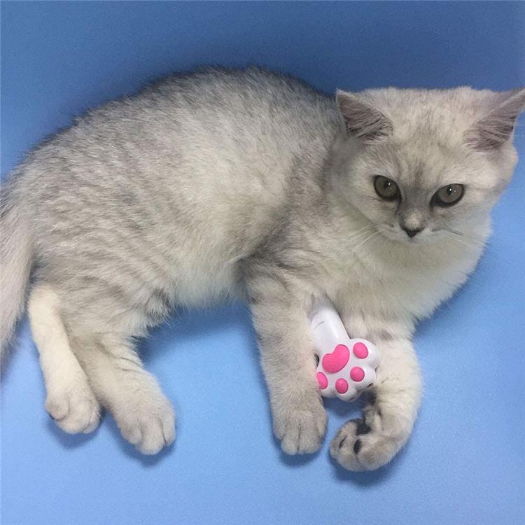 猫 おもちゃ ポインター 肉球型 レーザーポインター インタラクティブおもちゃ 懐中電灯付き ペット運動不足解消やトレーニング | ブランド登録なし | 12