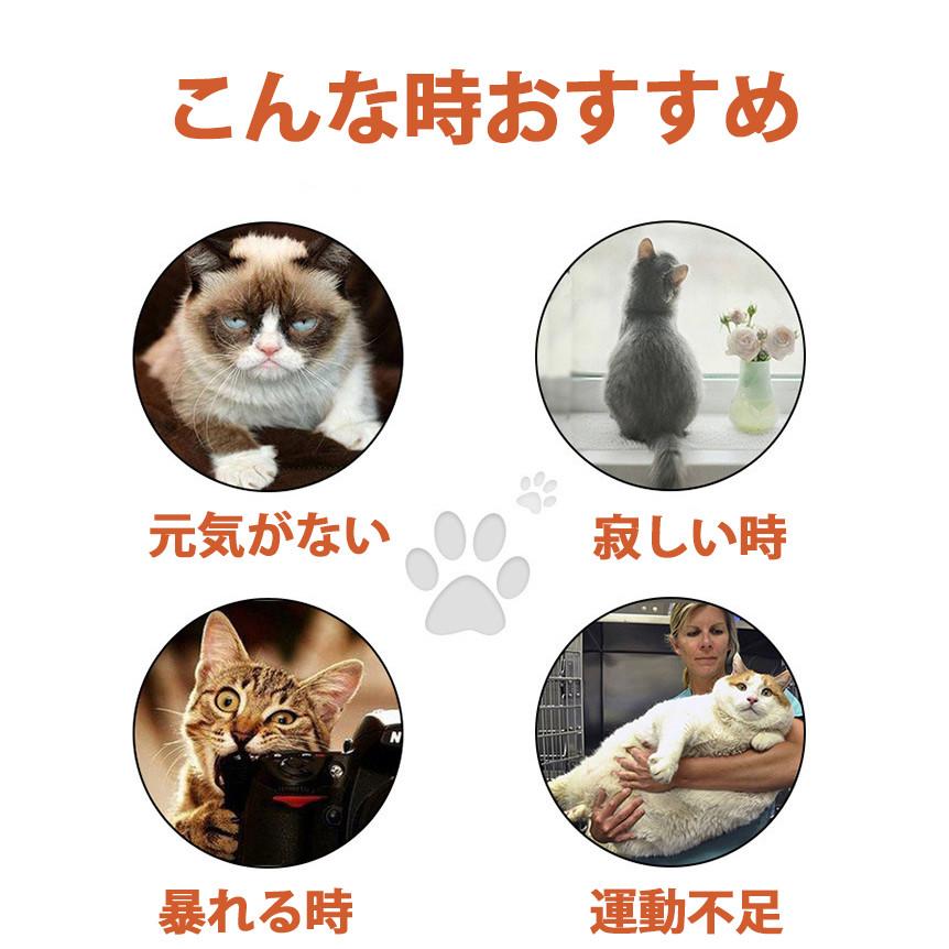 猫 おもちゃ ポインター 肉球型 レーザーポインター インタラクティブおもちゃ 懐中電灯付き ペット運動不足解消やトレーニング | ブランド登録なし | 02