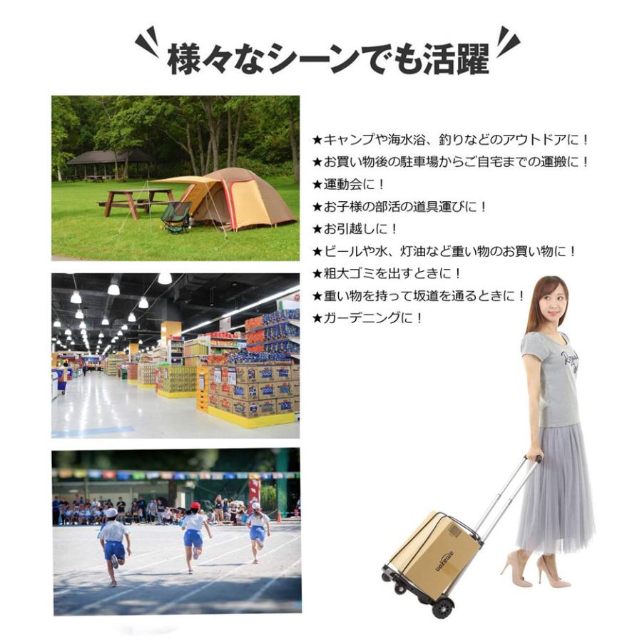 キャリー 超コンパクト キャリーカート 折りたたみ 軽量 ハンド
