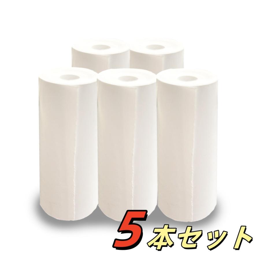 感熱紙 5巻 57mm幅×30Φ ロール紙 サーマルロール カラー プリント